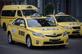 Professional Taxi Services