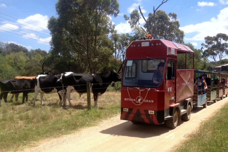 dandenong-myuna-farm-tractor-m