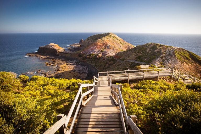 Cape Schanck Boardwalk