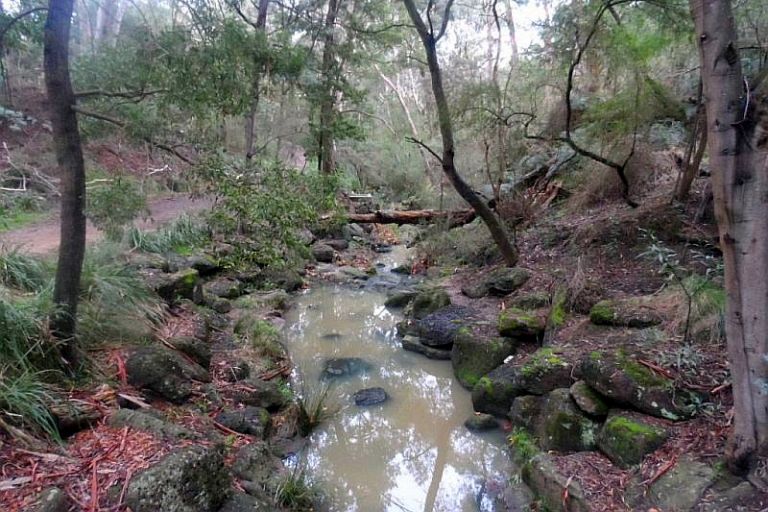 mount-waverley-Damper-Creek-May-2015