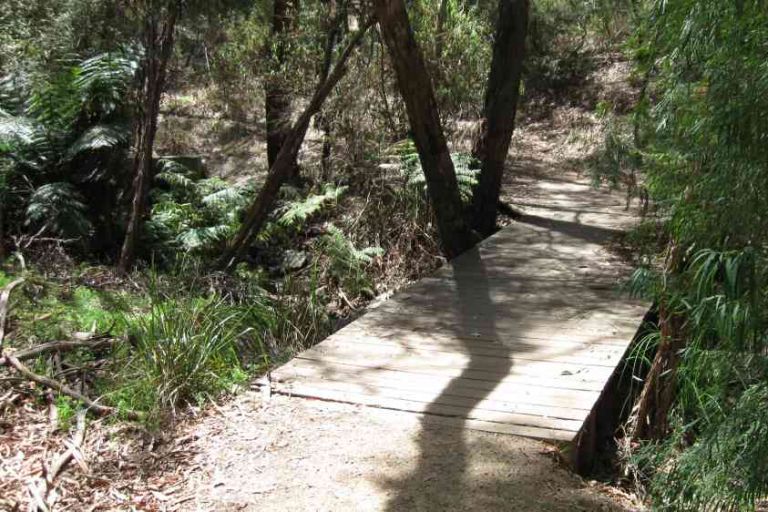 mount-waverley-Dampier-Creek-2013