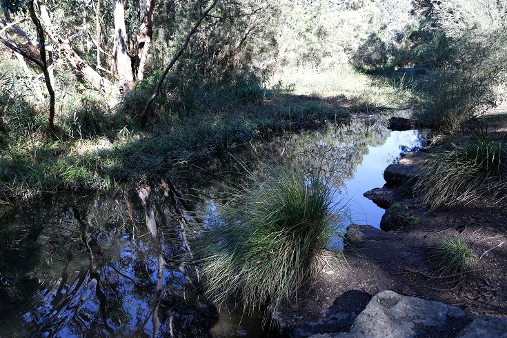 mount-waverley-damper-creek-reserve-creek-sm