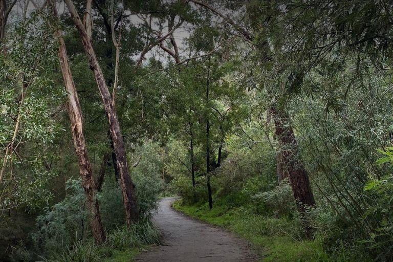 mount-waverley-damper-creek-reserve-m