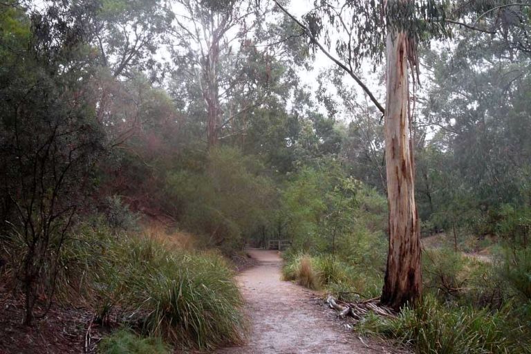 mount-waverley-damper-creek-reserve-view-on-the-path-m