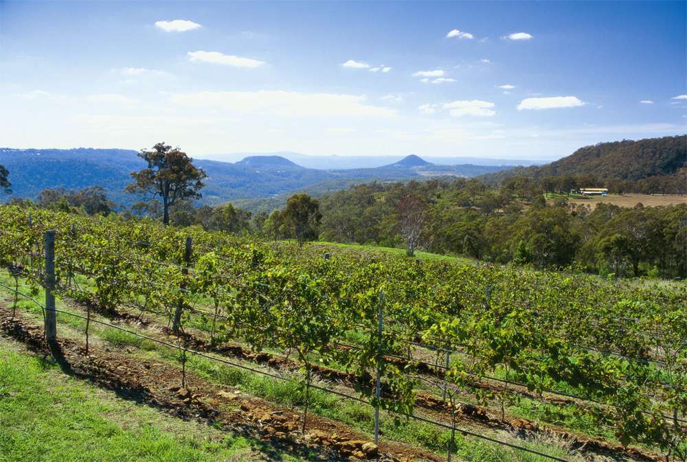 Read more about the article Personalised Sightseeing Tours in Luxury: Our Services